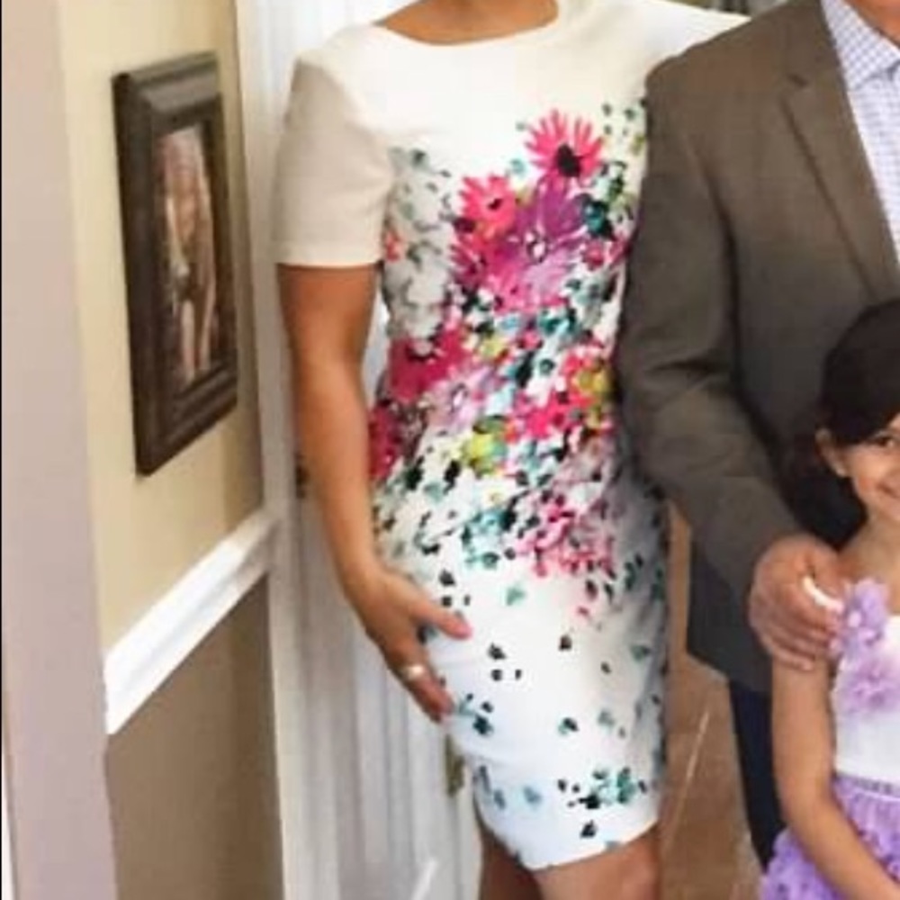 Ann Taylor Floral Fitted dress